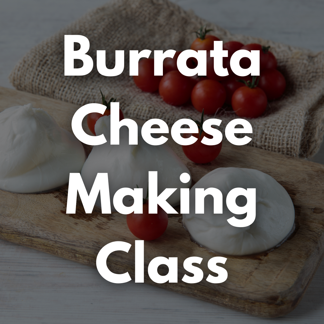 Photo of Burrata cheese and tomatoes on a wood tray.