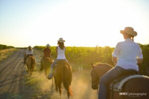 Trail Ride on Red Mountain